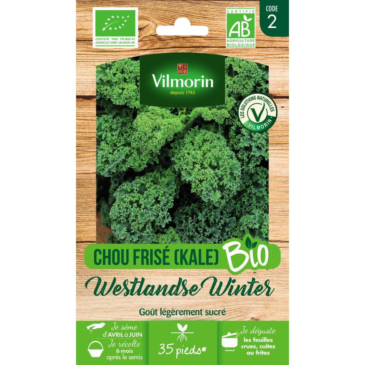 Sachet graines Chou Frisé ( KALE ) Westlandse Winter BIO - Brassica oleracea var. sabellica