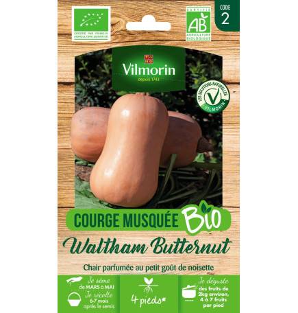 Sachet graines Courge Musquée Waltham Butternut BIO - Cucurbita pepo