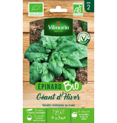 Seed Sachet Giant Winter Spinach BIO - Spinacia oleracea