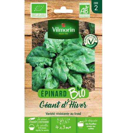 Sachet graines Epinard Géant d'hiver BIO - Spinacia oleracea