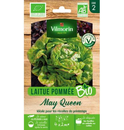 Seeds bag Lettuce Pommée MAY QUEEN BIO - Lactuca sativa