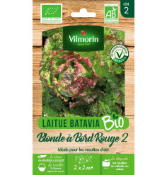 Sachet graines Laitue Blonde à bord rouge 2 BIO - Lactuca sativa