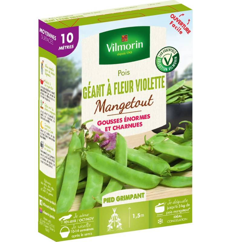 Sachet graines Pois Géant à fleur Violette 10 mètres - Pisum sativum