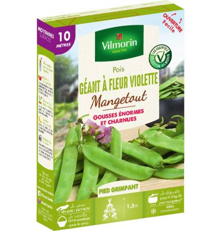 Giant Pea Seed Bag with Violet Flower 10 Meters - Pisum sativum