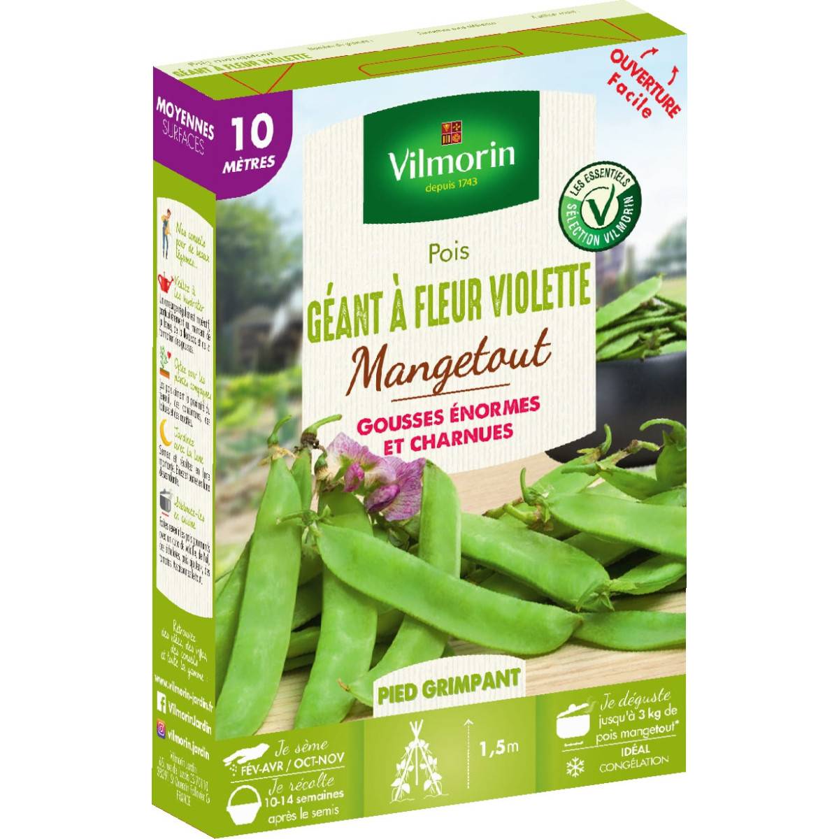 Sachet graines Pois Géant à fleur Violette 10 mètres - Pisum sativum