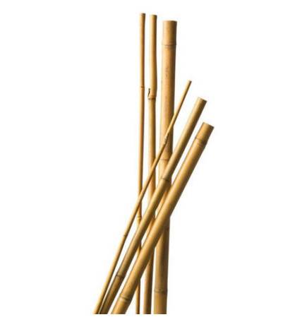 7 Bamboo Tutors 90 cm diam 6-8 cm