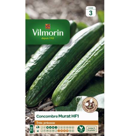 Sachet seeds Cucumber Murat Hybrid HF1