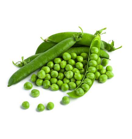 Graines de Pois Nain Merveille de Kelvedon à grain ridé - sac de 5 kgs