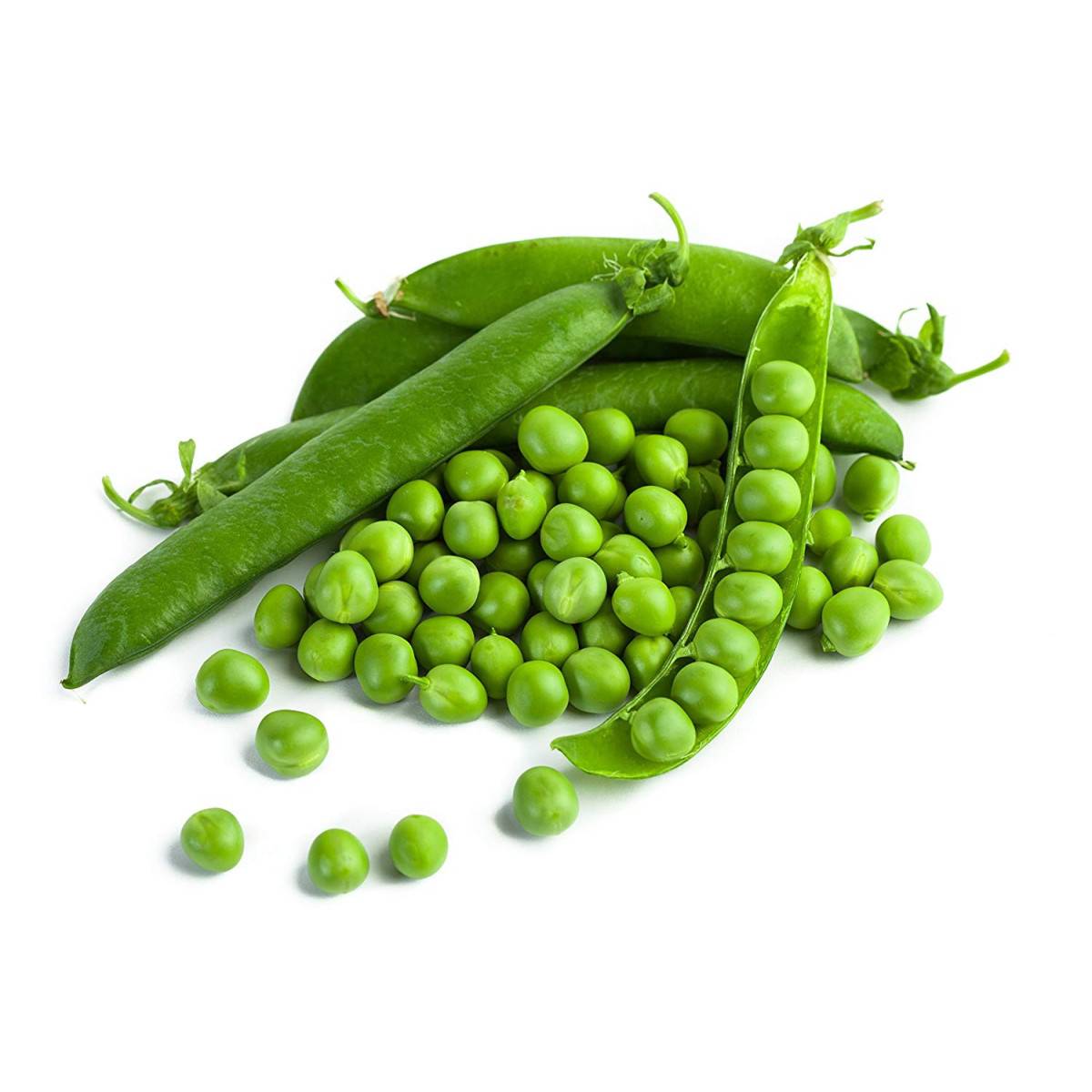 Graines de Pois Nain Merveille de Kelvedon à grain ridé - sac de 5 kgs