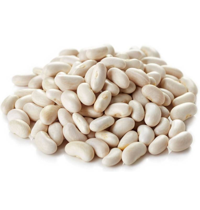 Early White Coconut Bean Seeds - 5 kg bag