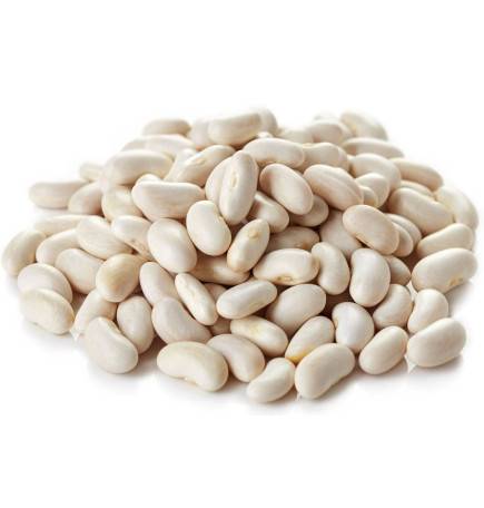 Early White Coconut Bean Seeds - 5 kg bag