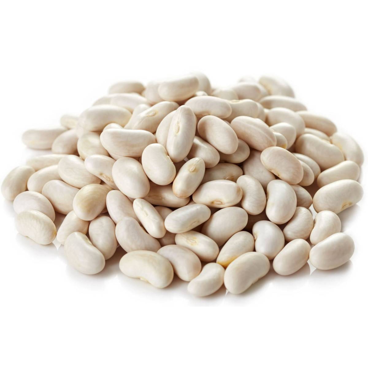 Early White Coconut Bean Seeds - 5 kg bag