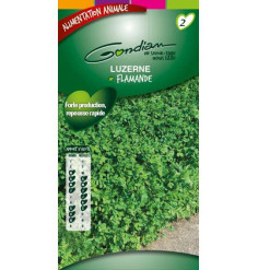 Flemish Alfalfa Green Fertilizer 500gr Vilmorin - 200 m2