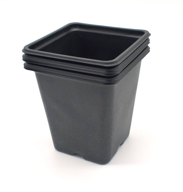 Pack de 15 Godets carrés noir en plastique 9cm