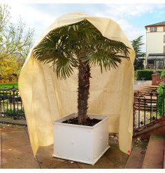 Winter cover and protection for plants 200x300cm with zipper