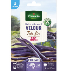 Haricot violet sans fil Melissa très fin 20 mètres