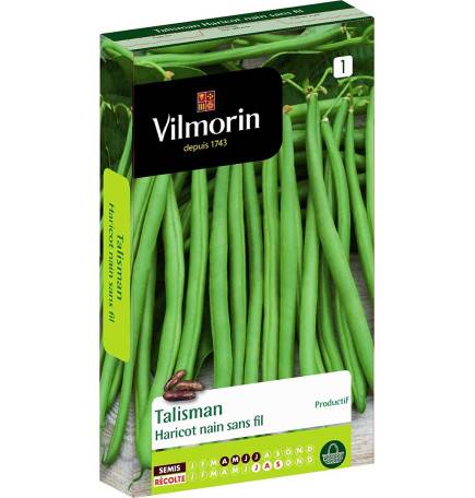 Graines de Haricot vert sans fil TALISMAN vilmorin