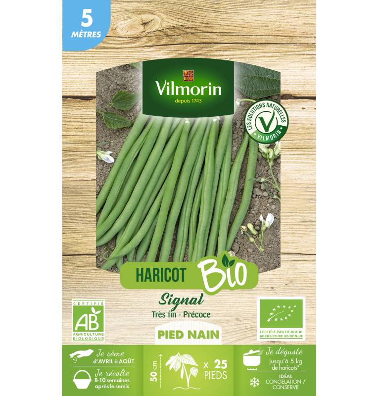 Graines de Haricot Nain vert SIGNAL BIO - 5 metres