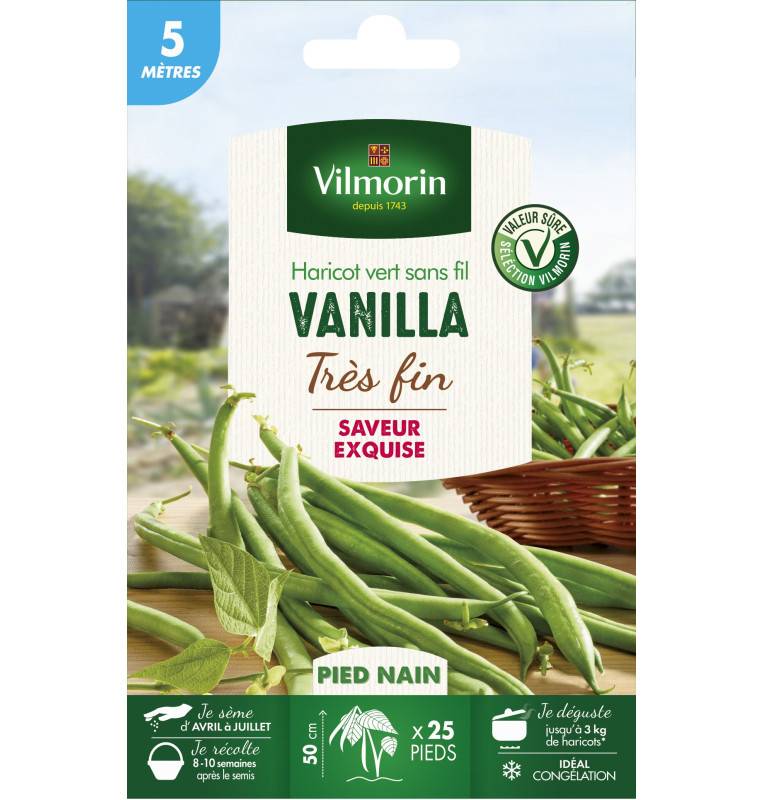 Graines de Haricot vert sans fil VANILLA - 5 mètres