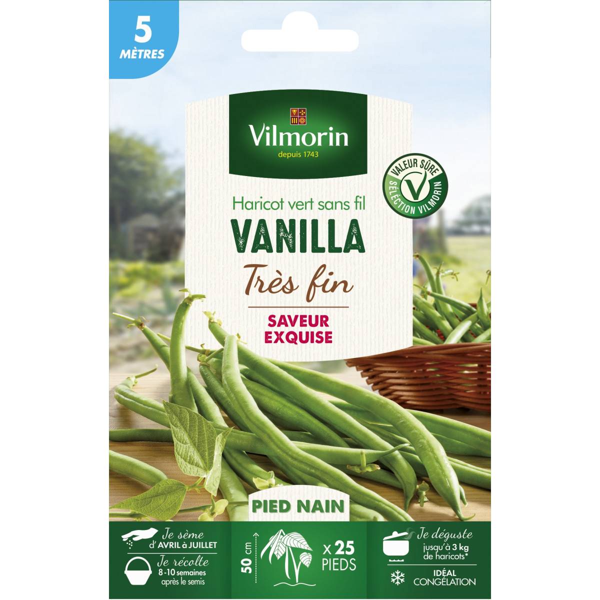 Graines de Haricot vert sans fil VANILLA - 5 mètres