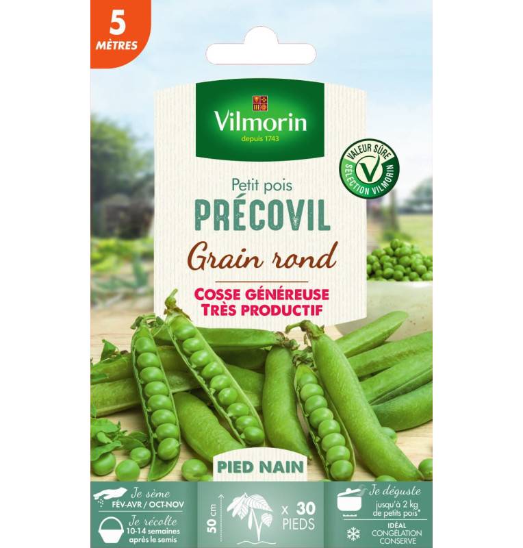 Graines de Petits Pois PRECOVI grain rond - 5 mètres