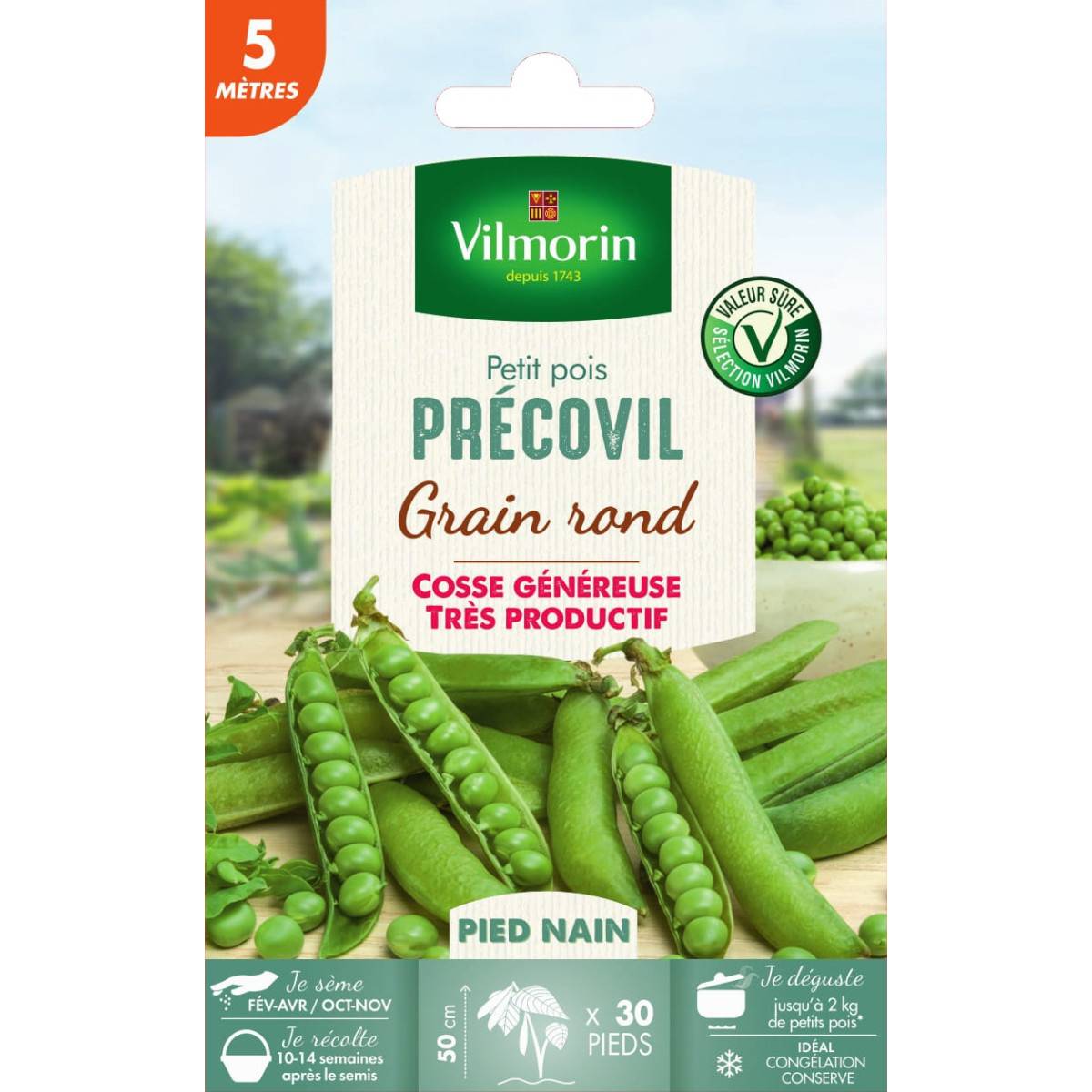 Graines de Petits Pois PRECOVI grain rond - 5 mètres