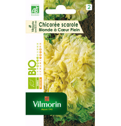 Sachet graines de Chicorée Scarole Blonde à coeur plein BIO