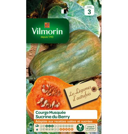 Sachet graines Courge Sucrine du Berry