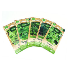 Pack de 5 sachets graines aromatiques BIO : Basilic - Ciboulette -Coriandre - Persil - Cerfeuil