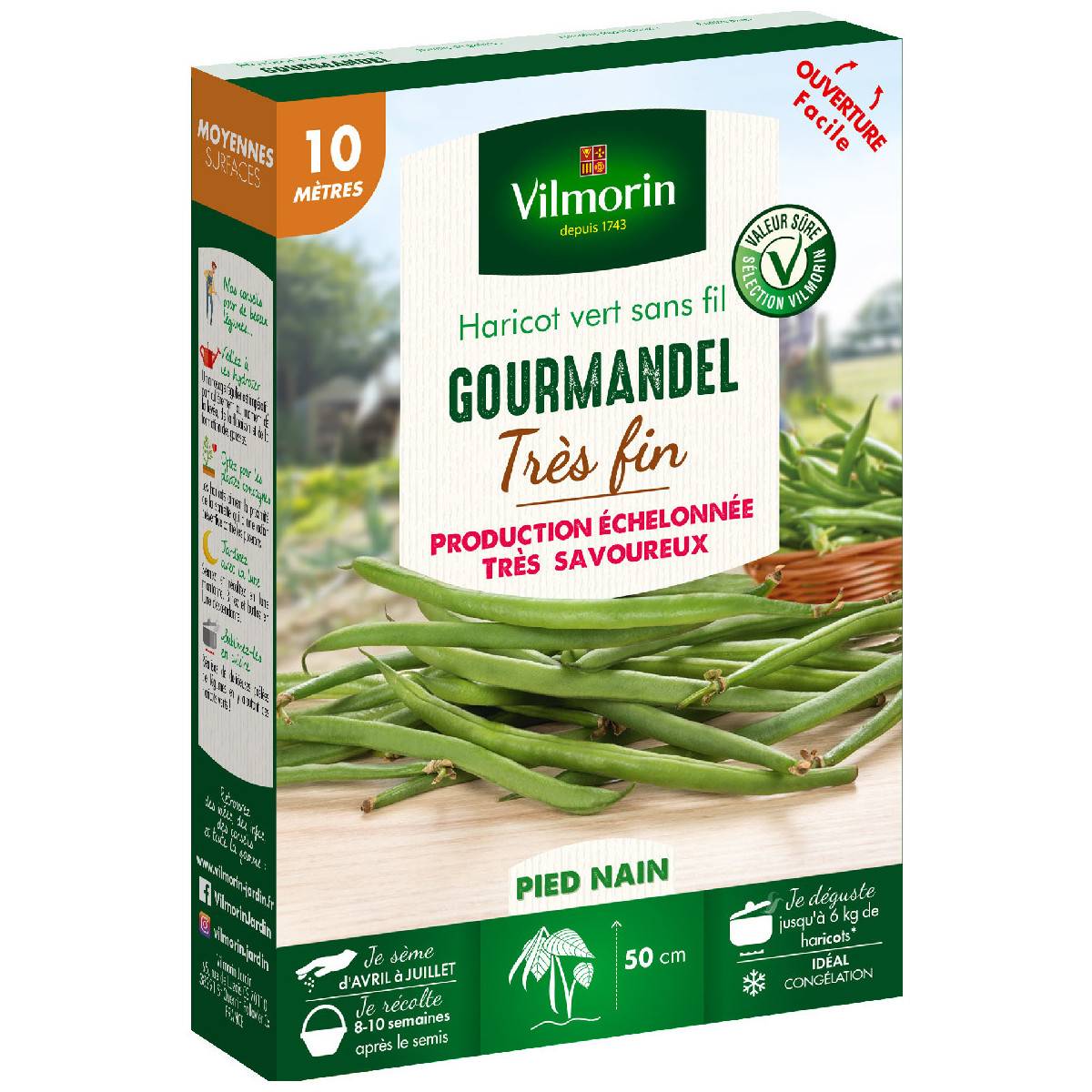 Graines de Haricot nain vert Gourmandel - 10 mètres