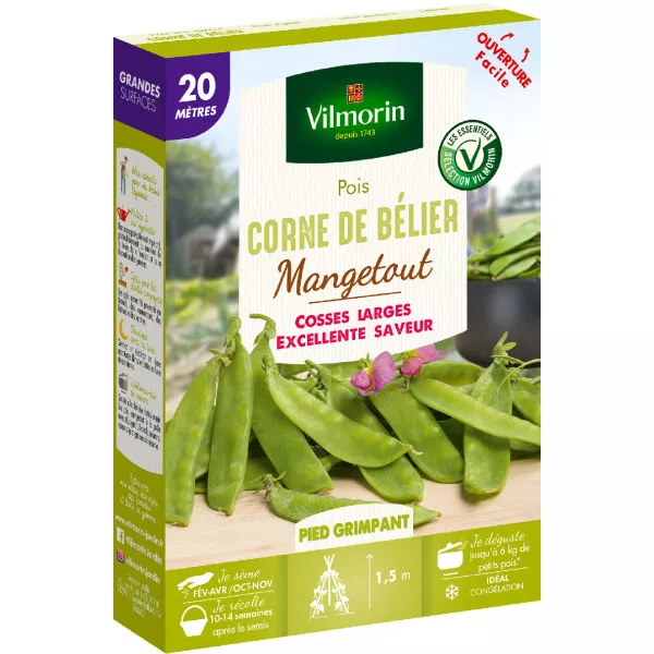 Graines de Pois mangetout Corne de Bélier - 20 mètres