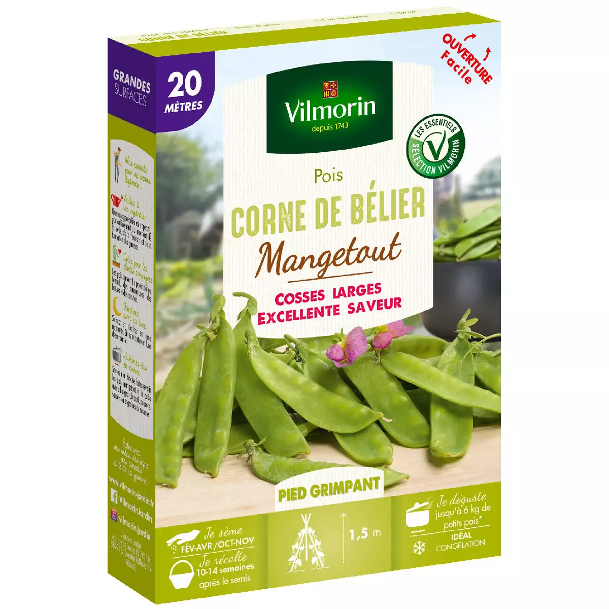 Graines de Pois mangetout Corne de Bélier - 20 mètres