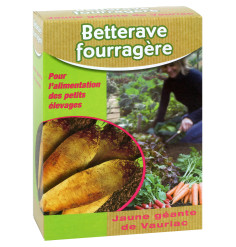 Graines de Betterave fourragère Jaune géante de Vauriac - Boite de 250 grs