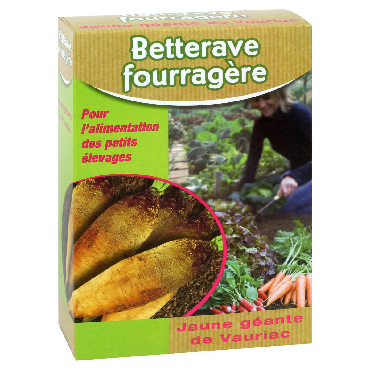 Graines de Betterave fourragère Jaune géante de Vauriac - Boite de 250 grs