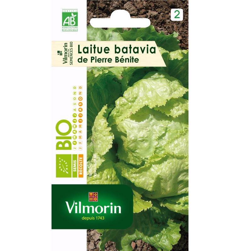 Sachet graines Laitue Batavia de Pierre Benite BIO