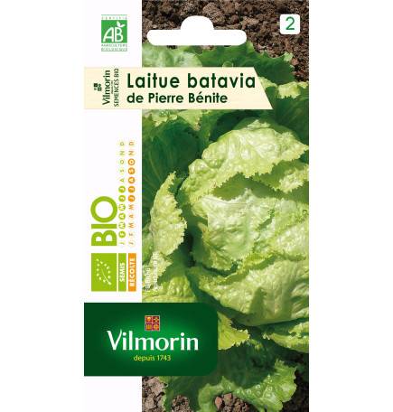 Sachet graines Laitue Batavia de Pierre Benite BIO