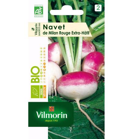 Sachet graines Navet de milan rouge extra Hatif à chassis BIO