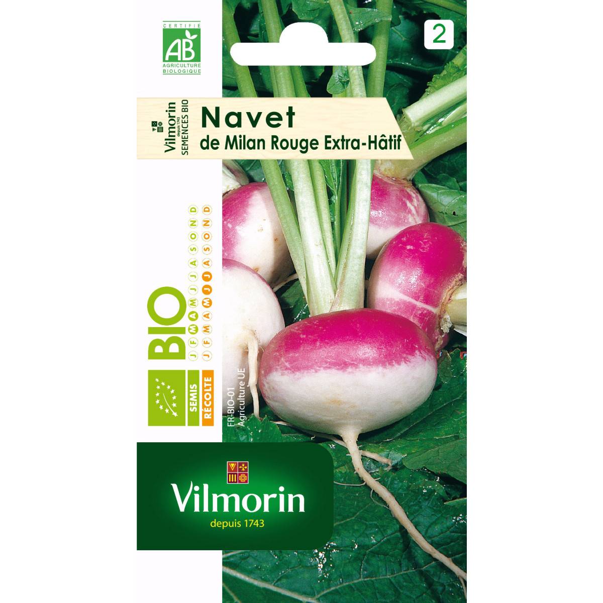 Sachet graines Navet de milan rouge extra Hatif à chassis BIO