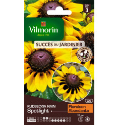 Sachet graines Rudbeckia nain spotlight