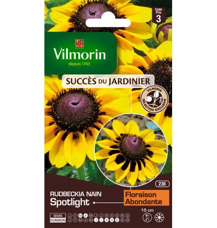 Sachet graines Rudbeckia nain spotlight