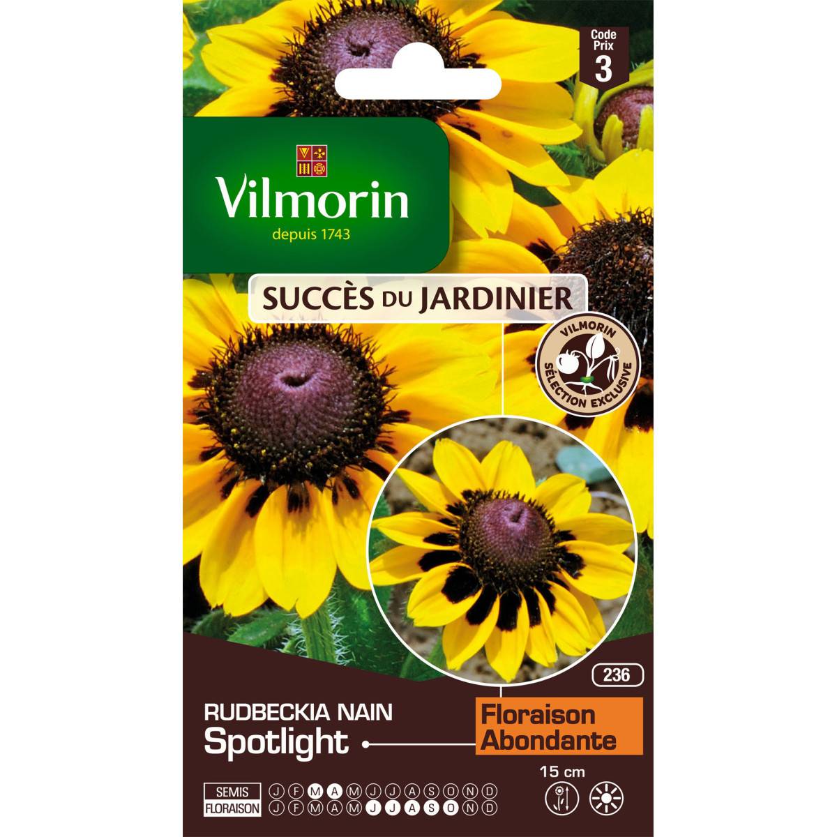 Sachet graines Rudbeckia nain spotlight