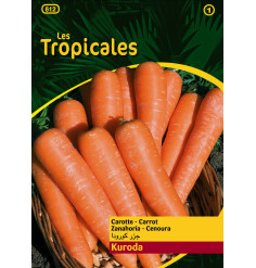 Sachet graines LES TROPICALES - Carotte Kuroda