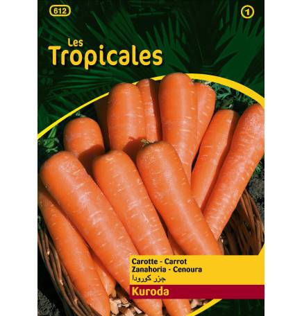 Sachet graines LES TROPICALES - Carotte Kuroda