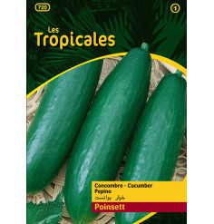 Sachet graines LES TROPICALES - Concombre Poinsett