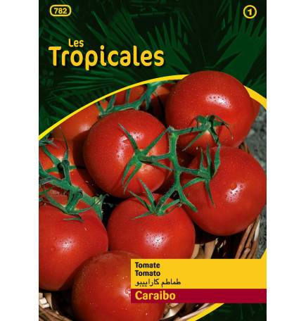 Sachet graines LES TROPICALES - Tomate Caraibo