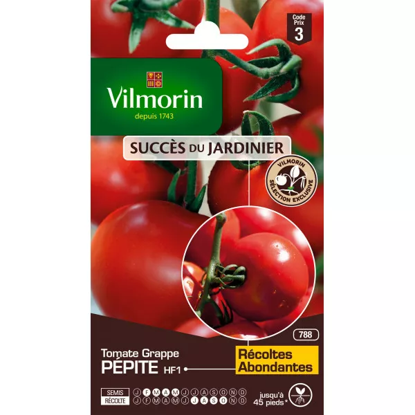 Sachet graines Tomate Grappe Pépite HF1