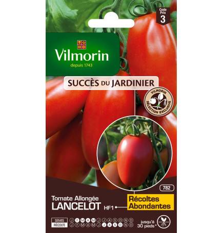 Sachet graines Tomate Allongée Lancelot HF1