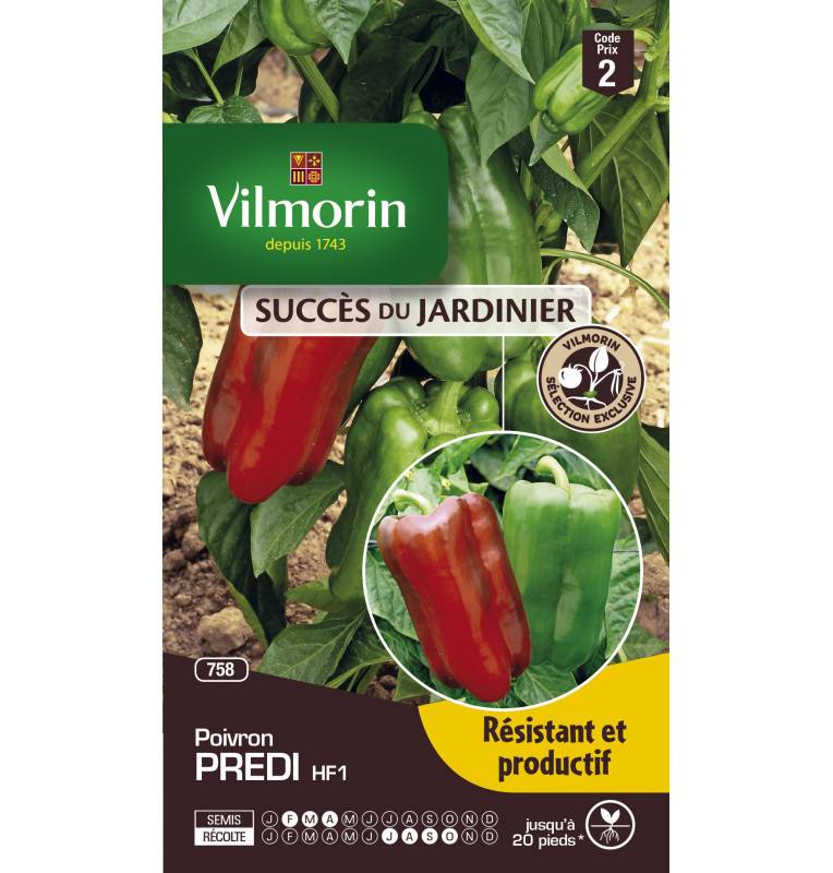 Sachet graines Poivron PREDI HF1