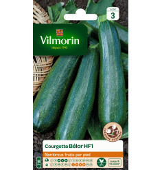 Sachet graines Courgette BELOR HF1