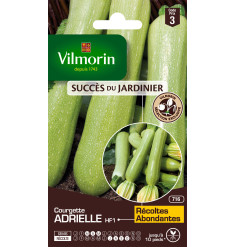 Sachet graines Courgette ADRIELLE HF1